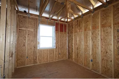 398 Lady Palm Street, Apopka, FL 32703 - Photo 4