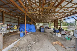 2505 Canal Rd, Lake Wales, FL 33898 - Photo 32