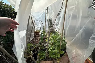 913 Michigan Ave, Saint Cloud, FL 34769 - Photo 14