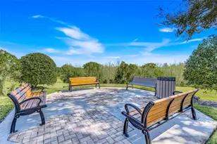 2385 Sirena Ln, Mount Dora, FL 32757 - Photo 32