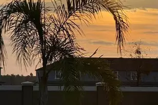 32364 Turtle Grace Loop, Wesley Chapel, FL 33545 - Photo 16