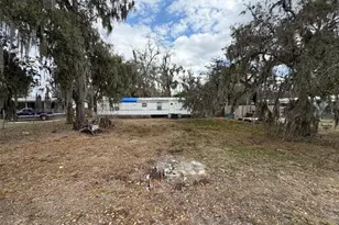 3345 Oak Meadows Dr, Mulberry, FL 33860 - Photo 1