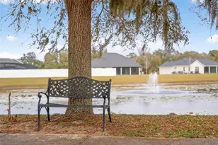 4520 Claire Rose Ct, Mount Dora, FL 32757 - Photo 96