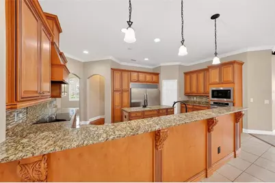 4520 Claire Rose Court, Mount Dora, FL 32757 - Photo 40