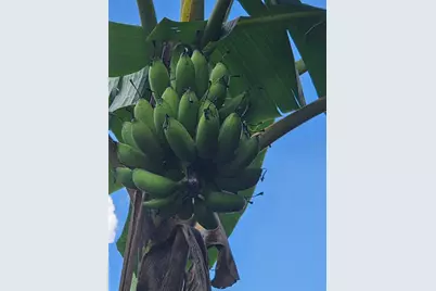 632 Blenheim Loop, Winter Springs, FL 32708 - Photo 54