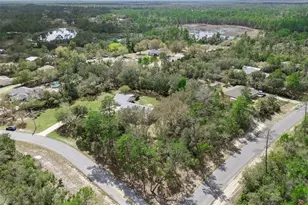 41731 Dahlia St, Eustis, FL 32736 - Photo 44