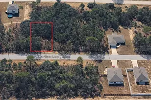 6779 N Pavilion Loop, Citrus Springs, FL 34433 - Photo 1