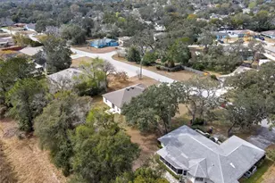 446 Leafy Way Ave, Spring Hill, FL 34606 - Photo 56