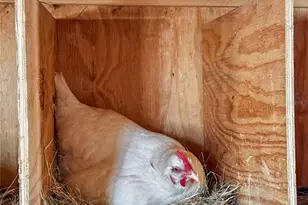 43512 Bear Lake Blvd, Deland, FL 32720 - Photo 14