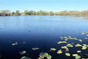 10040 Crystalline Ct, Orlando, FL 32836 - Photo 26