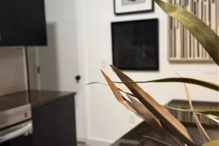 3305 Tranquil Trl, Kissimmee, FL 34747 - Photo 12