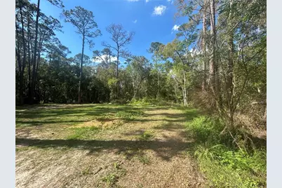 2648 S Park Avenue, Sanford, FL 32773 - Photo 4