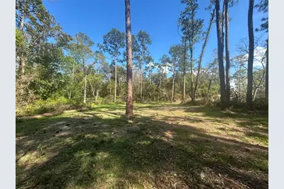 2648 S Park Avenue, Sanford, FL 32773 - Photo 2