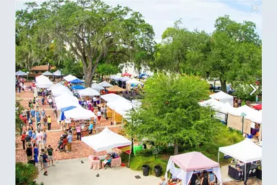 1075 Chase Drive, Winter Garden, FL 34787 - Photo 58