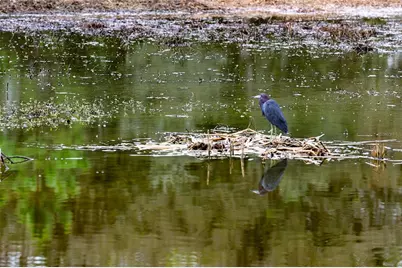 4714 Wightman Circle, The Villages, FL 32163 - Photo 44