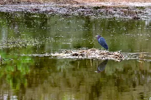 4714 Wightman Cir, The Villages, FL 32163 - Photo 44