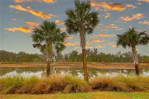 4714 Wightman Cir, The Villages, FL 32163 - Photo 10