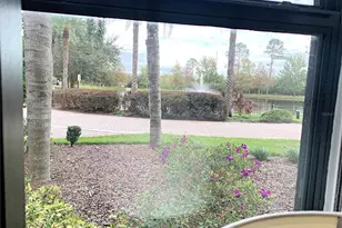 14501 Grove Resort Ave, Winter Garden, FL 34787 - Photo 12