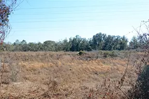 19 Spring Ridge Dr, Debary, FL 32713 - Photo 12