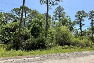 1395 10th Ave, Deland, FL 32724 - Photo 1