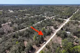 NE 65th St, Williston, FL 32696 - Photo 1