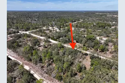 Ne 65th Street, Williston, FL 32696 - Photo 6