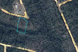 Tbd Pine Needle St, Marianna, FL 32448 - Photo 1