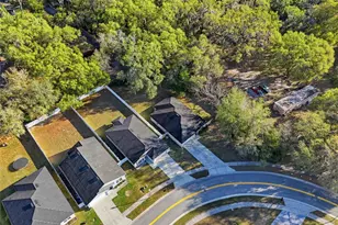 7327 Holly Creek Rd, Mount Dora, FL 32757 - Photo 2