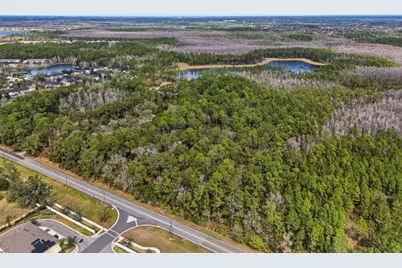 13887 Reams Road, Windermere, FL 34786 - Photo 14