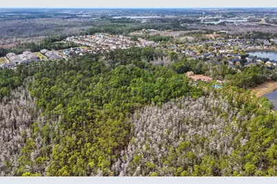 13887 Reams Road, Windermere, FL 34786 - Photo 16