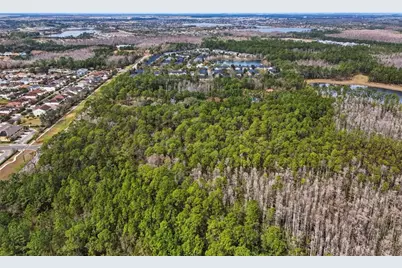 13887 Reams Road, Windermere, FL 34786 - Photo 20