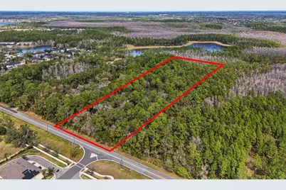 13887 Reams Road, Windermere, FL 34786 - Photo 2