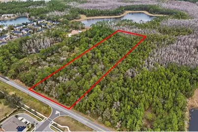 13887 Reams Road, Windermere, FL 34786 - Photo 10