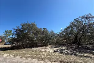 6725 N Killinger Terrace, Citrus Springs, FL 34433 - Photo 1