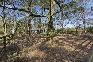 19 Northern Dancer Dr, Ocala, FL 34482 - Photo 46