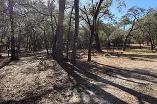 23404 Hobdy Rd, Sorrento, FL 32776 - Photo 10