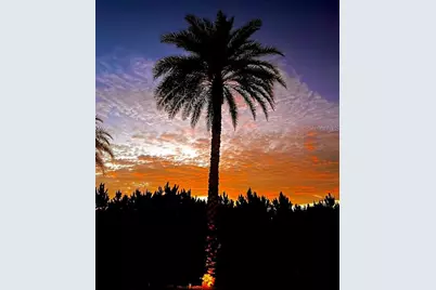 603 Arnold Palmer Drive, Davenport, FL 33837 - Photo 52