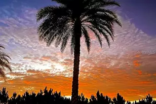 603 Arnold Palmer Dr, Davenport, FL 33837 - Photo 52