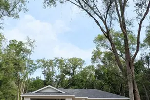 1161 W Virginis Dr, Citrus Springs, FL 34434 - Photo 30