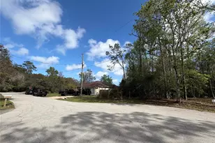 6 Zeppelin Ct, Palm Coast, FL 32164 - Photo 1