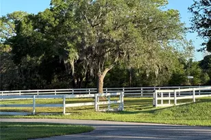 33015 Sahara Ct, Sorrento, FL 32776 - Photo 44