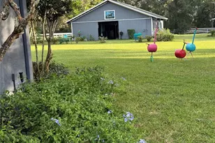 33015 Sahara Ct, Sorrento, FL 32776 - Photo 68