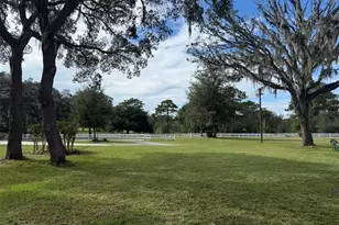 33015 Sahara Ct, Sorrento, FL 32776 - Photo 74