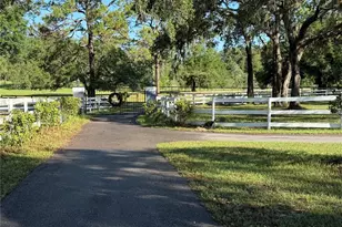 33015 Sahara Ct, Sorrento, FL 32776 - Photo 26