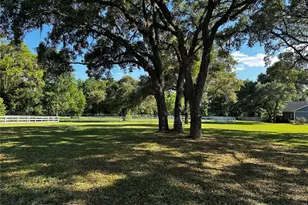 33015 Sahara Ct, Sorrento, FL 32776 - Photo 28