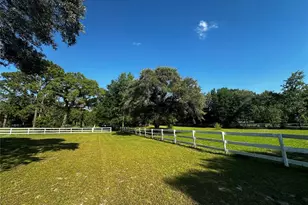 33015 Sahara Ct, Sorrento, FL 32776 - Photo 22