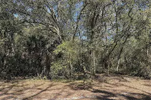 Lot 34 35 Block C 18th St, Orange City, FL 32763 - Photo 1