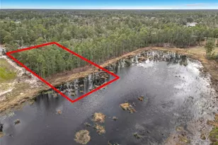 Nutmeg Ave, Eustis, FL 32736 - Photo 1