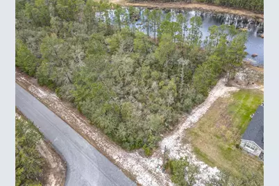 Nutmeg Avenue, Eustis, FL 32736 - Photo 4