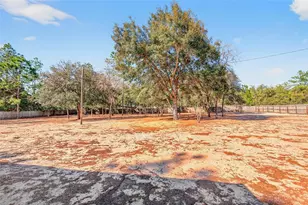 1250 NE 123rd Ave, Williston, FL 32696 - Photo 12